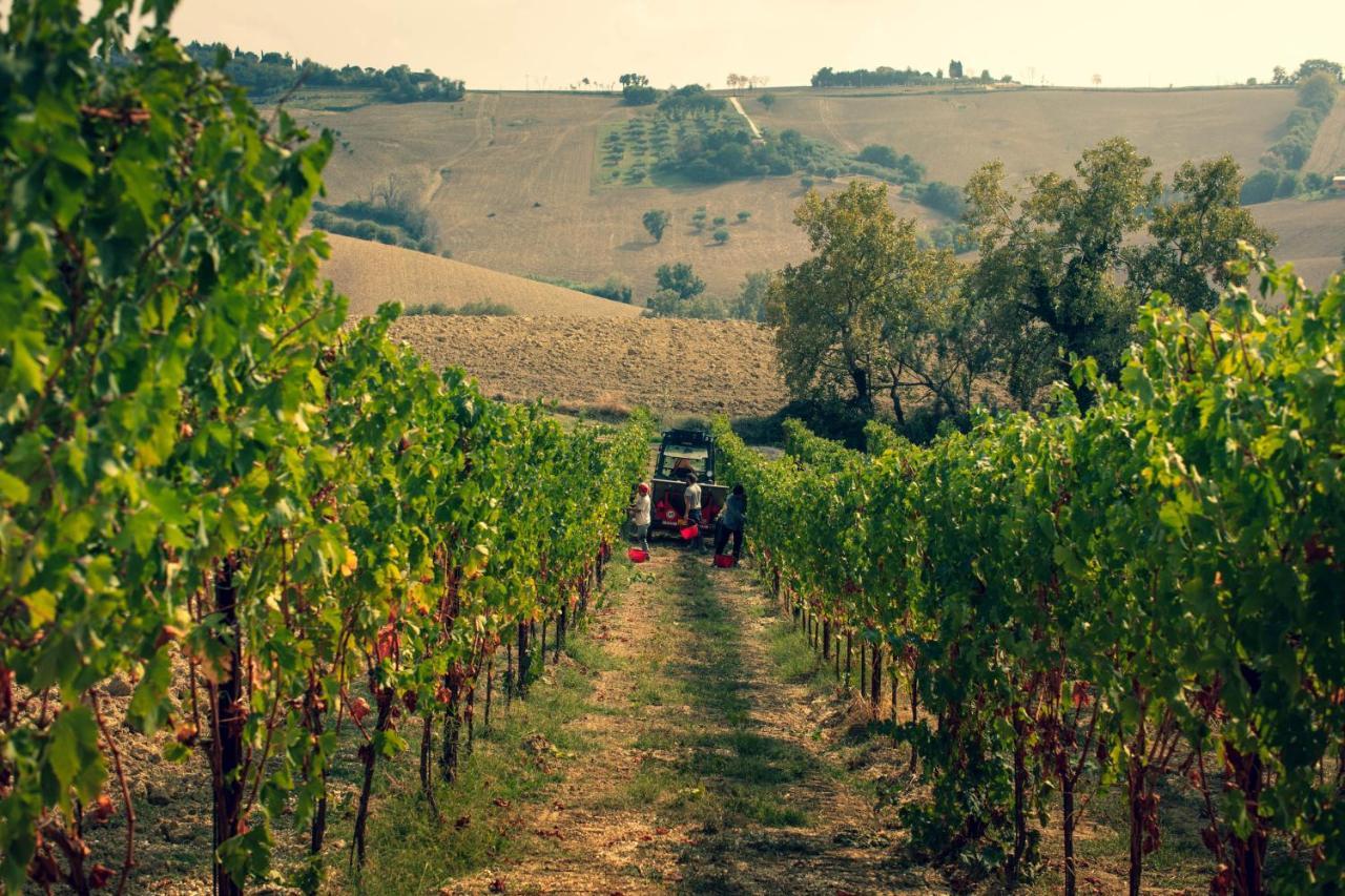 San Marcello  Filodivino Wine Resort & Spa מראה חיצוני תמונה