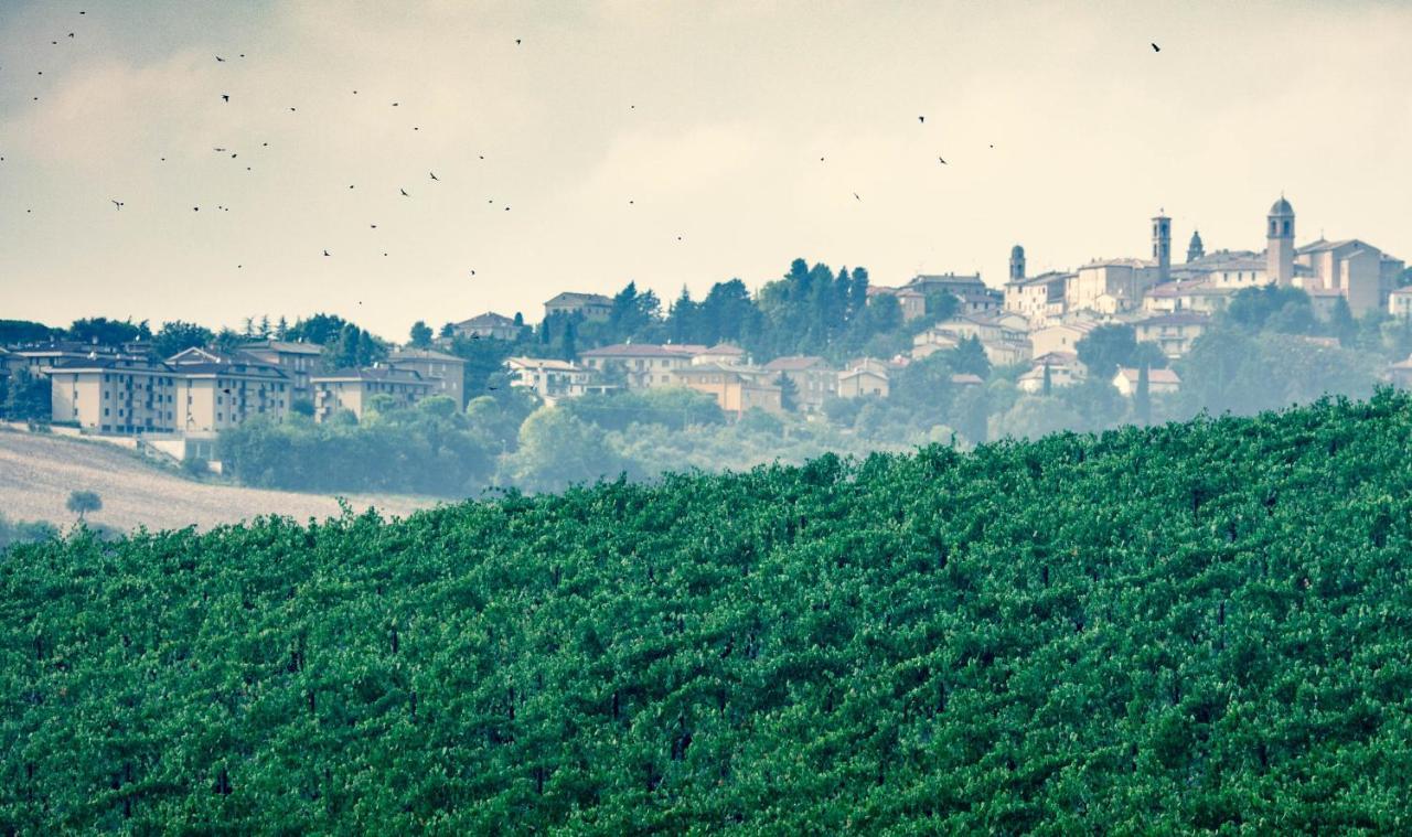 San Marcello  Filodivino Wine Resort & Spa מראה חיצוני תמונה